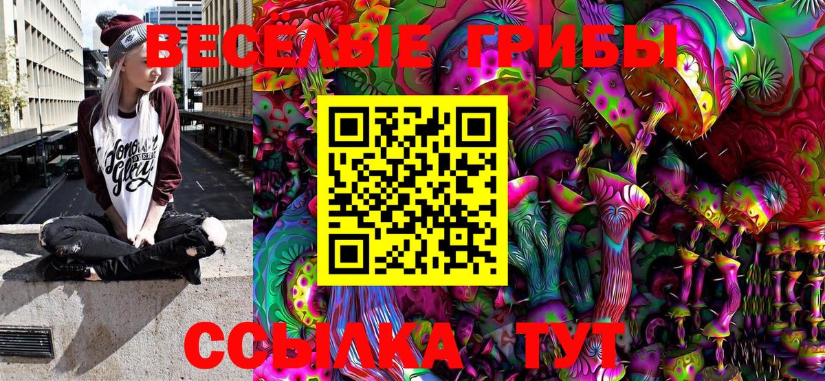 Галлюциногенные грибы Cubensis  Вход с VPN  Михайловка  Галлюциногенные грибы Cubensis 